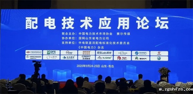 (配电技术应用论坛现场) 米兰app2025最新版下载受邀参加配电技术应用论坛(图1)