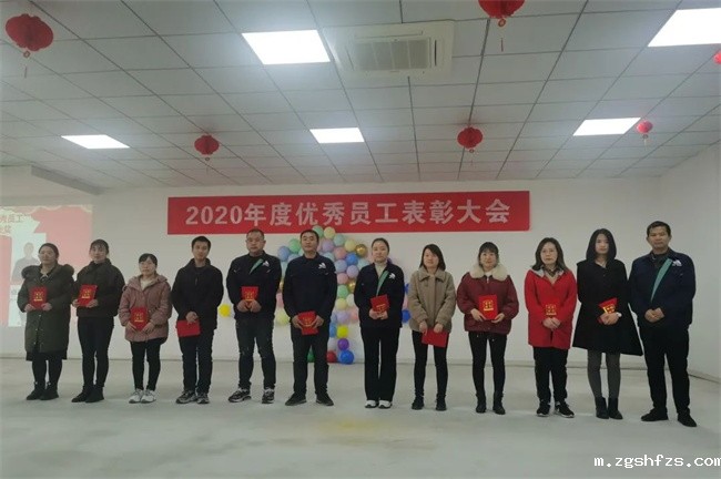 置恒卓能2020年度优秀员工表彰会 置恒卓能2020年度优秀员工表彰会(图2)